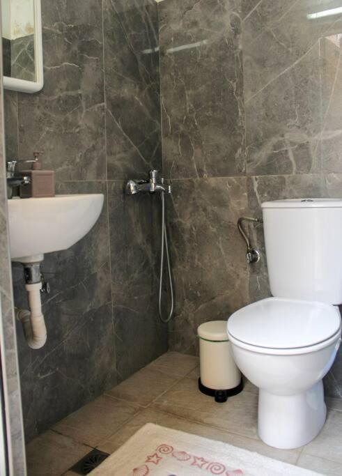 Anesis House Daire Neos Marmaras Dış mekan fotoğraf