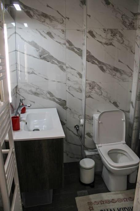 Anesis House Daire Neos Marmaras Dış mekan fotoğraf